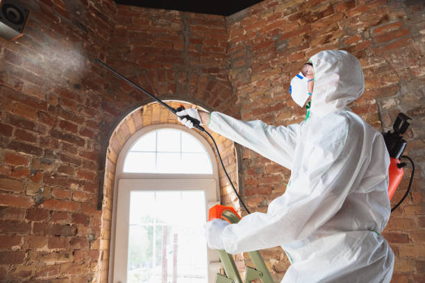 Why You Should Choose Our Mold Remediation Services in Kinnelon, NJ